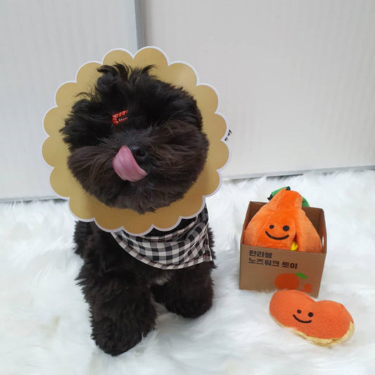 KFX-2468029 Orange Plush Dog Sounding Toy - Sniffing and Play for Dogs