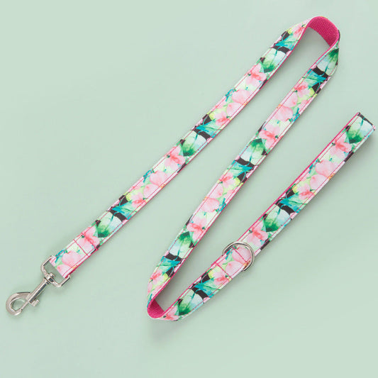 KFX-2468157 Flower Pattern Dog Collar and Leash Set with Comfortable Cotton Webbing