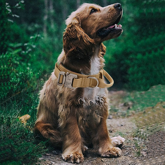 KFX-2493373 Solid Color Outdoor Pet Collar for Medium and Large Dogs with Adjustable Fit and Durable Materials