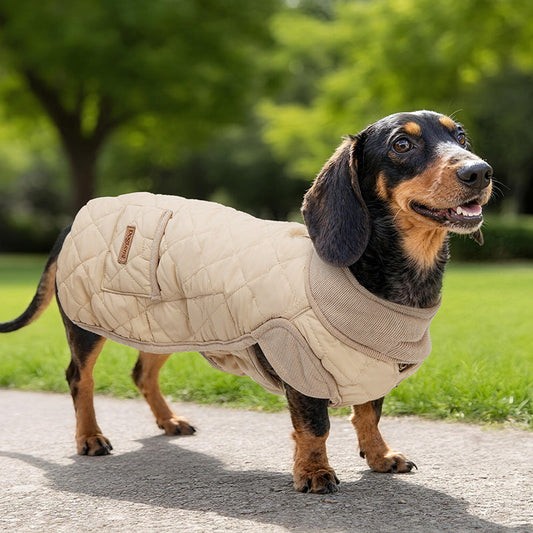 KFX-2517181 Cozy Cotton Vest for Dogs - Warm Autumn and Winter Apparel in Beige and Dark Blue