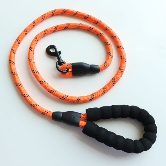 KFX-2527933 Reflective Nylon Dog Leash in Multiple Colors and Lengths