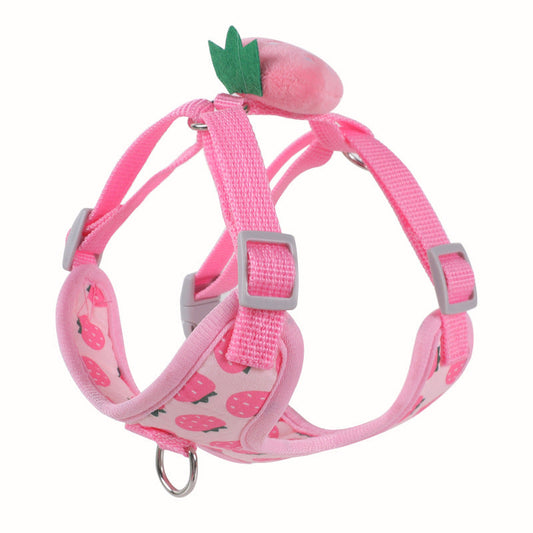 KFX-2545213 Reflective Vest-style Harness with Leash for Small Dogs in Carrot, Strawberry, and Avocado Colors