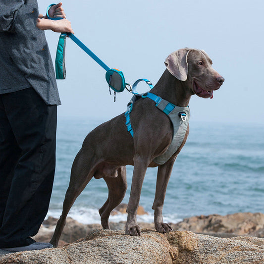 KFX-2560189 Adjustable Nylon Chest Strap and Leash Storage Bag for Pets - Available in Multiple Sizes and Colors