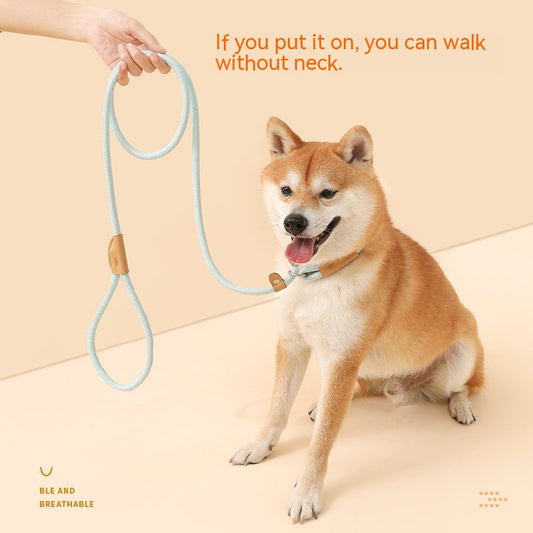 KFX-2560701 Hand-Held Nylon Leash for Dogs - Multiple Color Options Available