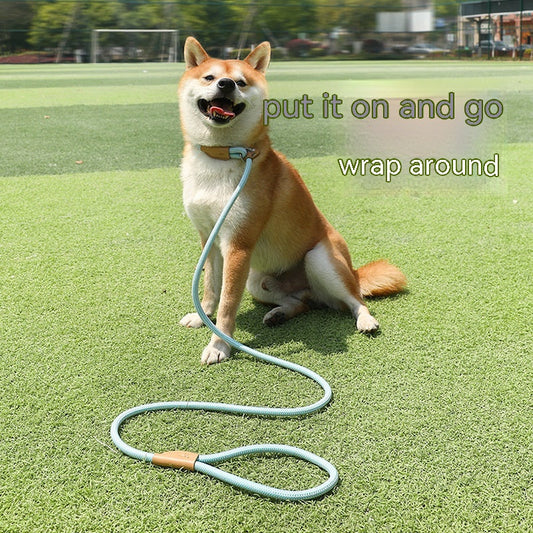 KFX-2560701 Hand-Held Nylon Leash for Dogs - Multiple Color Options Available