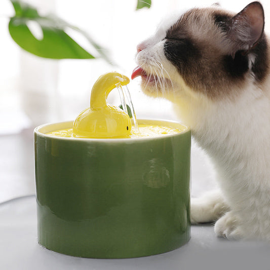 KFX-2595517 Rabbit and Radish Pet Water Dispensers with Optional Placemat and Bowl