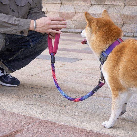 KFX-2620477 High Elastic Nylon Pet Traction Rope - Adjustable Length, Multiple Colors Available