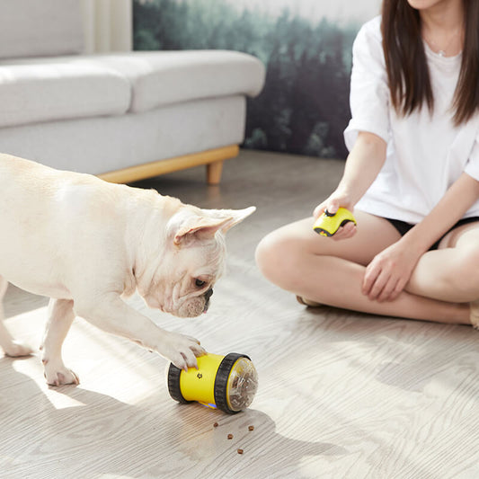 KFX-2687037 Remote Control Food Leaking Car with Fun Toy Mouse - Electric Toy for Kids