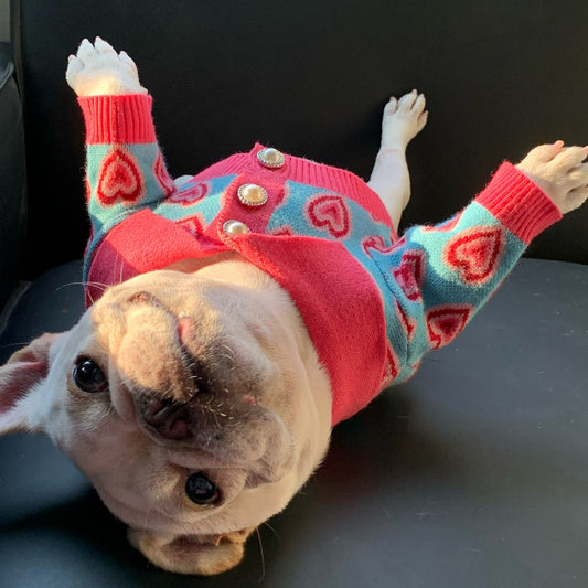 KFX-2701501 Trendy Wool Dog Sweater for Cats and Dogs - Glitter Design, Multiple Sizes Available
