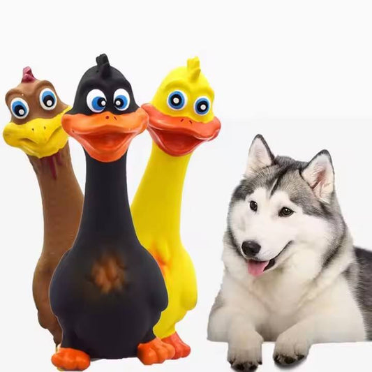 KFX-2723389 Interactive 3-Piece Eco-Friendly Latex Squeaky Chicken Chew Toys for Dogs
