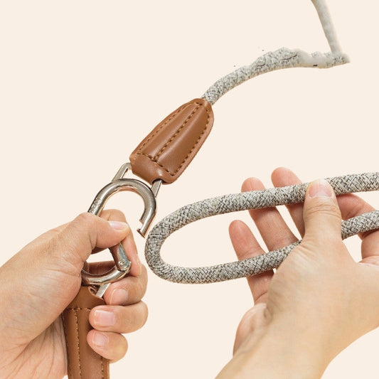 KFX-2724541 Light Grey Nylon Crossbody Lead Rope for Hands-Free Running