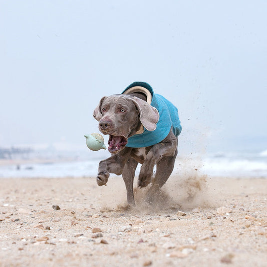 KFX-2731069 Warm and Stain-Resistant Dog Vest for Medium to Large Dogs - Available in Rose Red, Light Blue, and Gray