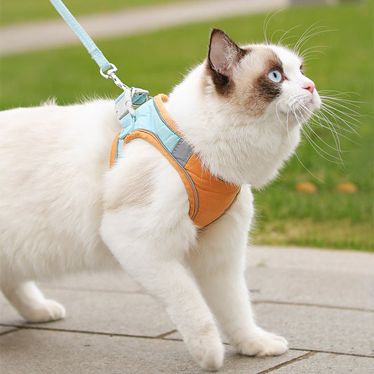 KFX-2763069 Reflective Color-Blocking Traction Belt with Breathable Material for Cats