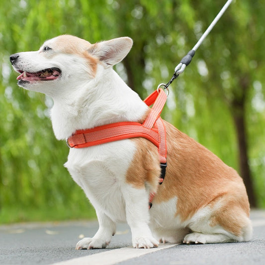 KFX-2789565 Reflective Chest Strap with Traction Rope for Small to Large Dogs in Black, Green, Orange, Dark Blue