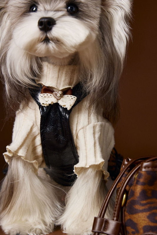 KFX-2812093 Casual Lace Bow Bottoming Shirt for Small Dogs - Coffee and Beige, Multiple Sizes Available