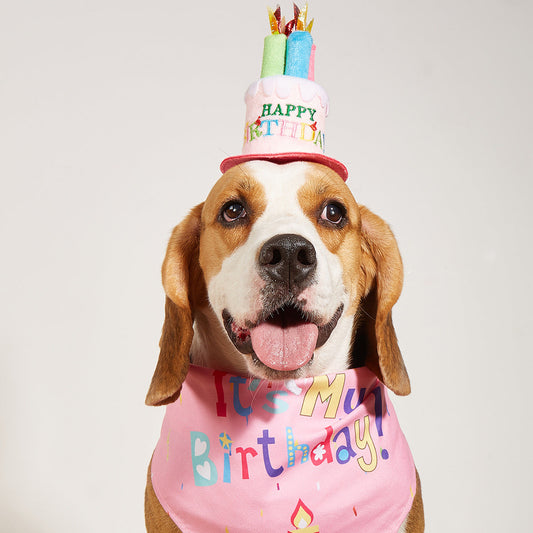 KFX-2812349 Creative Printing Dog Birthday Hat and Drool Towel Accessories Set - Triangular Binder with Cartoon Patterns in Blue and Pink