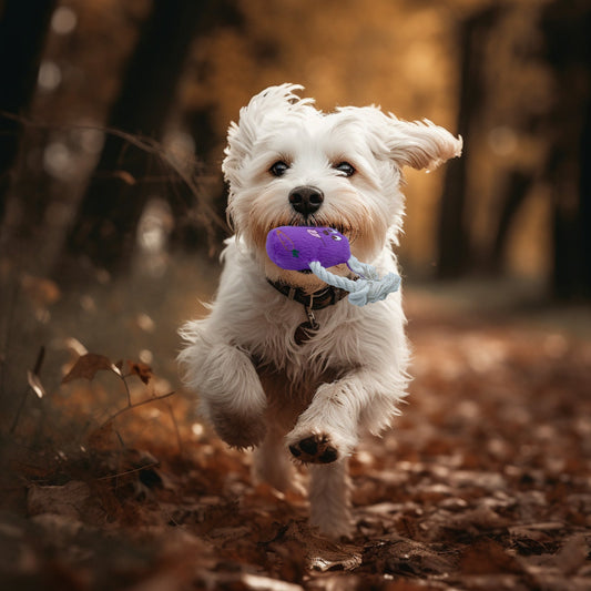 KFX-2837821 Bite-Resistant Teddy Toy with Dog Sound and Soft Fleece Lining for Pet Boredom Relief