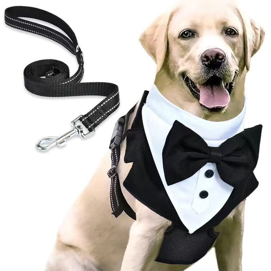 KFX-2840125 Pet Safety Chest Strap and Hand Holding Rope Set - Durable Polyester Material, Available in Sizes S, M, L, XL