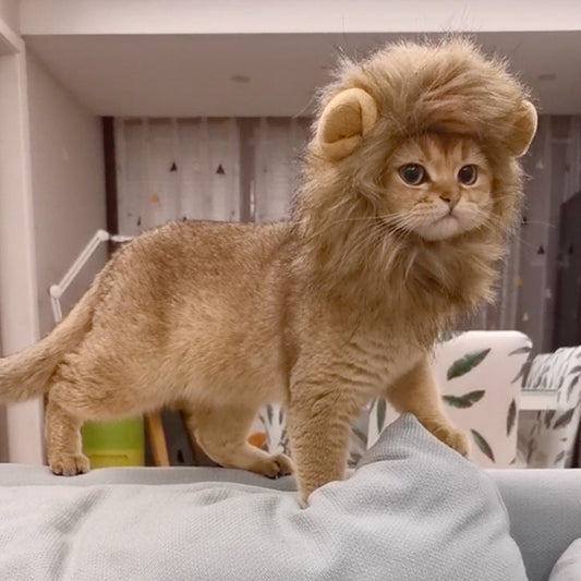 KFX-2910653 Cute Animal Headgear for Pets - Lion & Rabbit Designs in Various Sizes, Polyester Material