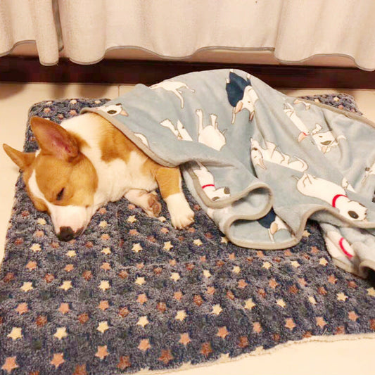 KFX-2928957 Padded Flannel Dog Mat for Comfort and Warmth in Various Cute Patterns