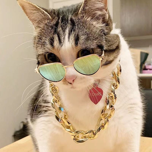 KFX-2940605 Cat Collar with Golden Chain Ornament and Glasses Accessory