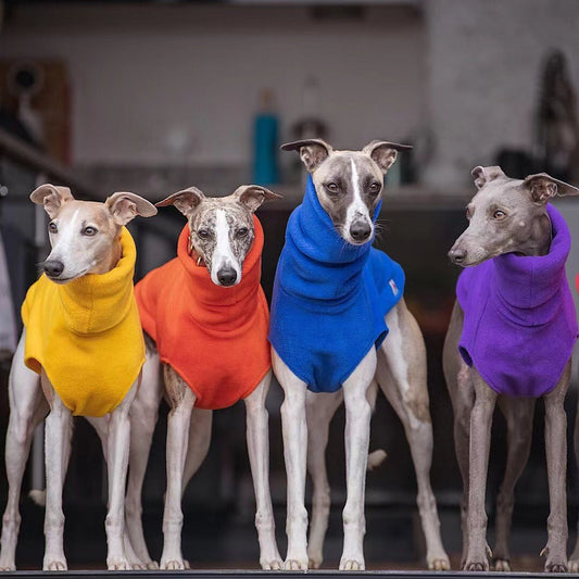 KFX-2940989 Winter Polar Fleece High Collar Vest for Italian Greyhound & Whippet Dog