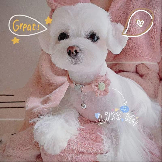 KFX-2951613 Floral Small Dog Collar with Bell - Adjustable and Comfortable for Girls