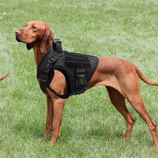 KFX-2953405 Durable Nylon Water-Repellent Tactical Chest Strap for German Shepherds - Explosion-Proof Design