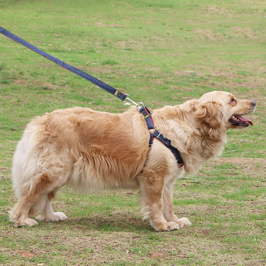 KFX-2953917 Durable Denim Sling Leash with Wear-Resistant Traction - Available in Multiple Colors