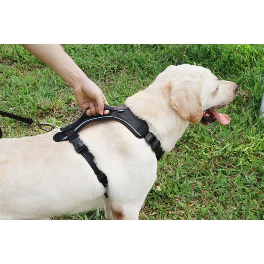 KFX-2959165 Reflective Thoracolumbar Chest Band for Medium and Large Dogs - Durable Nylon Design