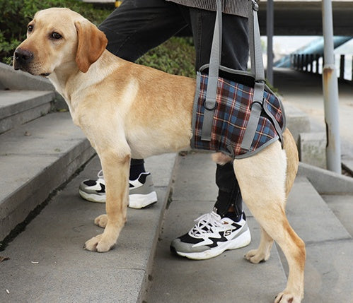 KFX-3003453 Postoperative Rehabilitation Assistive Belt for Dogs - Adjustable Sling for Elderly Pets' Hind Legs