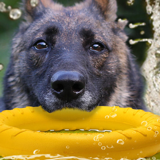 KFX-3004989 Durable EVA Dog Training Pull Ring for Interactive Play and Anxiety Relief
