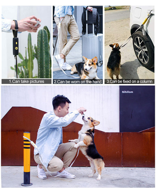 KFX-3019453 Elastic Nylon Dog Leash for Small and Medium Breeds - Various Colors Available