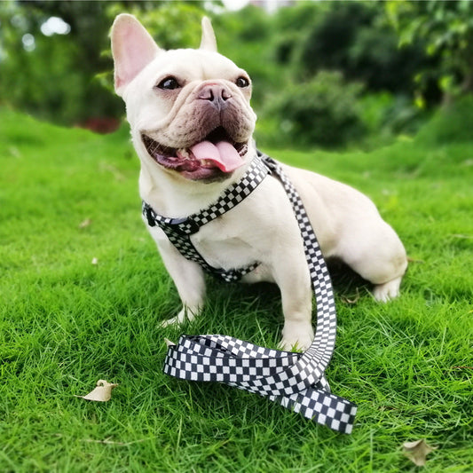 KFX-3090237 Plaid Chest and Back Dog Harness with 150cm Traction Leash