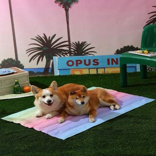 KFX-3098557 Cooling Pet Mat for Dogs - Summer Ice Pad in Various Fun Designs and Sizes