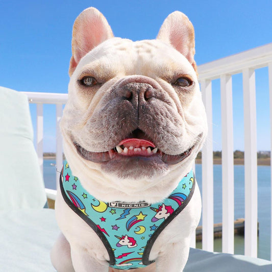 KFX-3101757 Adjustable Polyester Chest Strap for Comfortable Fit and Secure Wear