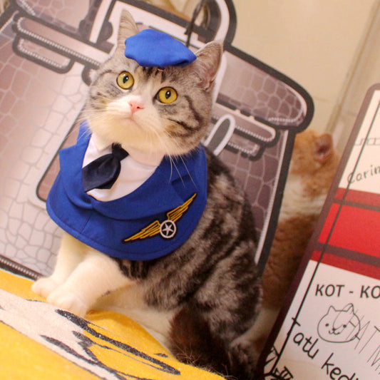 KFX-3181117 Personalized Blue Polyester Pet Clothing with Hat for Cats - Sizes S, M, L