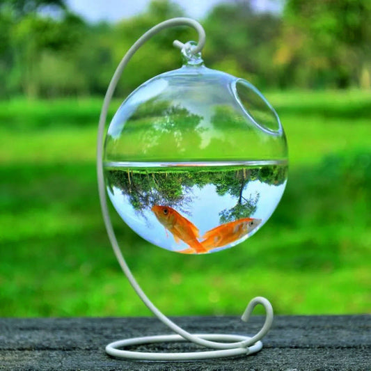 KFX-3248317 Mini Hanging Glass Vase Fish Tank with Black or White Brackets - High Borosilicate Glass Design