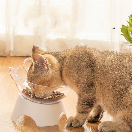 KFX-3251005 Non-Slip Elevated Pet Bowl for Cats and Dogs with Oblique Mouth Design