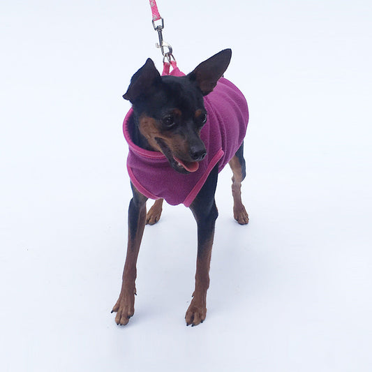 KFX-3253181 Cozy Polar Fleece Dog Clothing in Multiple Colors and Sizes