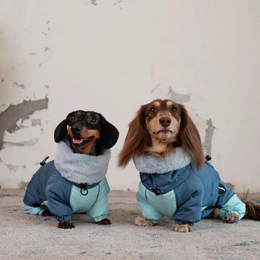 KFX-3270845 Warm Lambswool Cotton-Padded Jacket for Dogs - Autumn and Winter Four-Leg Design