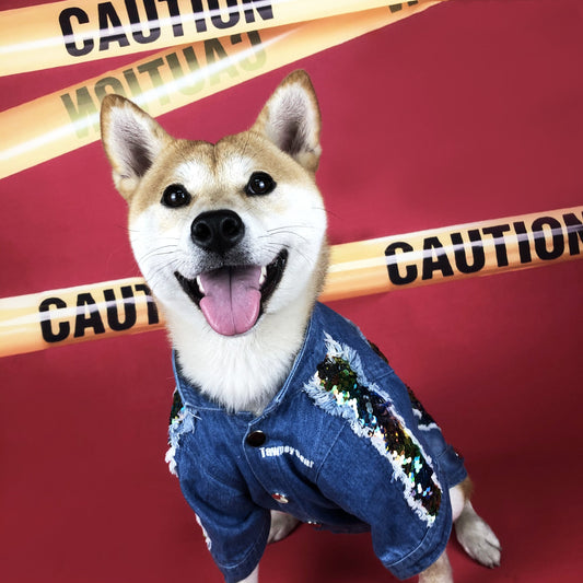 KFX-3274429 Sequin Denim Dog Jacket in Black and Blue for Small, Medium, and Large Dogs