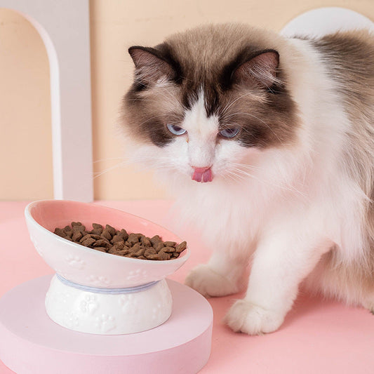 KFX-3283773 Colorful Ceramic Pet Bowl with High-Leg Design - Anti Overturning Feature
