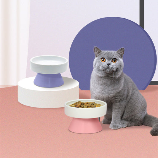 KFX-3287741 Ceramic Elevated Cat Water Bowl with Wide Mouth Design