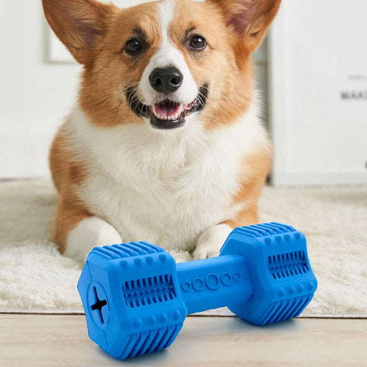 KFX-3313213 Durable Rubber Dog Interactive Molar Toy with Food Leakage Design - Red/Blue