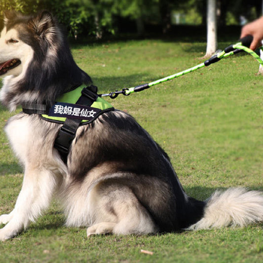 KFX-3352381 Reflective Nylon Woven Double Handle Dog Leash in Multiple Colors