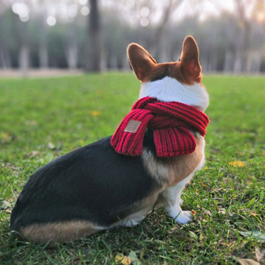 KFX-3355453 Colorful Wool Cartoon Dog Scarf for Stylish Pets - 120CM x 8CM