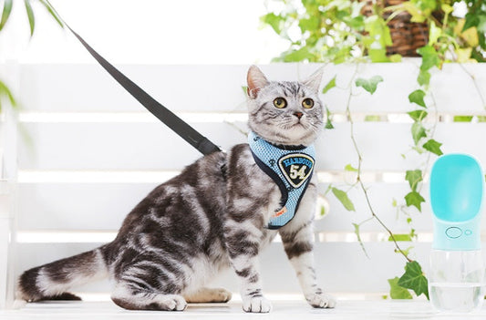 KFX-3360317 Durable Nylon Pet Sling with Adjustable Reflective Collar and Traction Rope