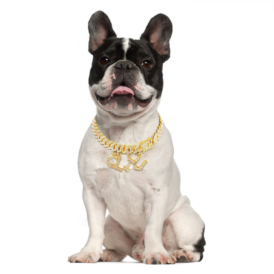 KFX-3393597 Alloy Dog Walking Collar - Available in Gold and Silver, Sizes 25-50cm