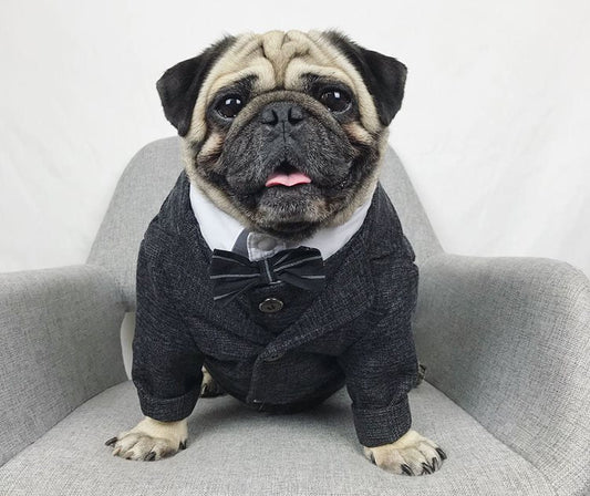 KFX-3407293 Casual Coral Fleece Pet Wedding Suit for Dogs - Available in Multiple Sizes